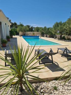 Stone Villa Olea - Holiday house in olive grove